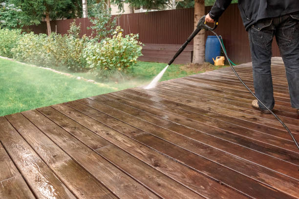 Best Animal Enclosure Cleaning  in Marion, VA